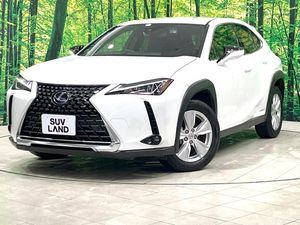 2021 Lexus UX 6AA-MZAH10