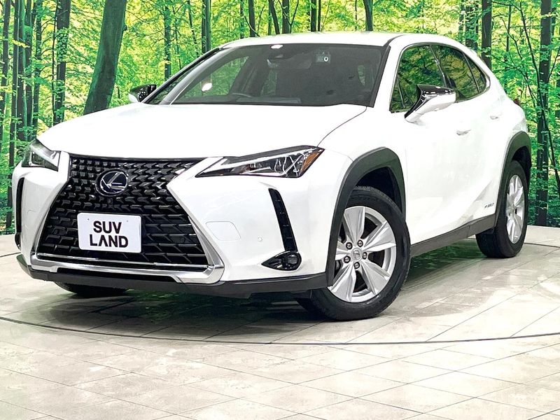 2021 Lexus UX 6AA-MZAH10 (UW-6aa7672e8a62a)[0]