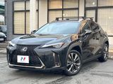 2021 Lexus UX 6AA-MZAH10