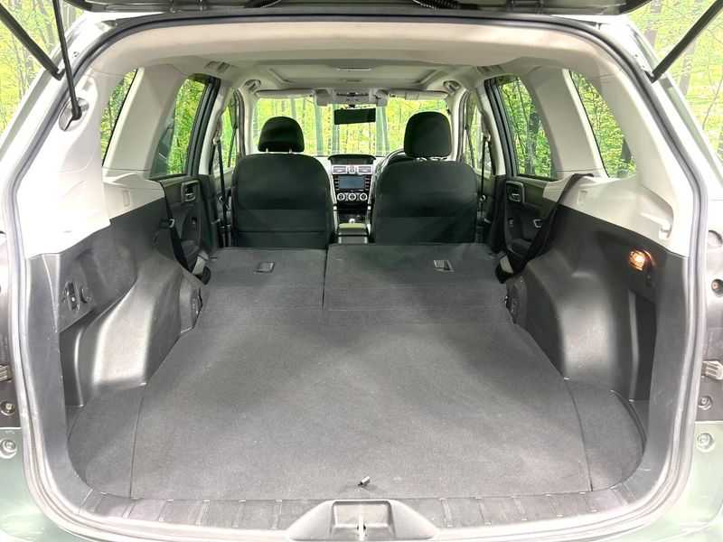 2016 Subaru Forester DBA-SJ5 (UW-6aa767a4e7b1c)[9]