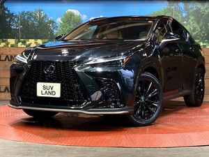 2025 Lexus NX 6AA-AAZH20