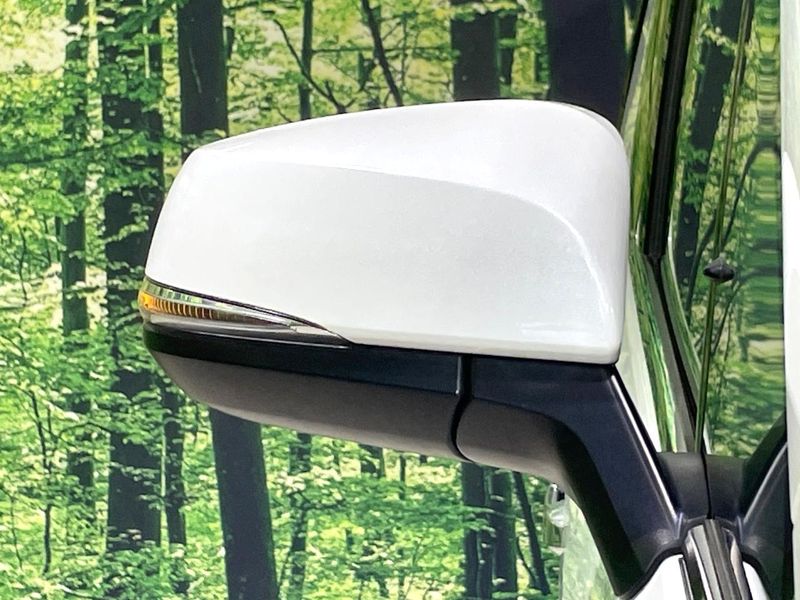 2019 Toyota Alphard DBA-AGH30W (UW-6aa8b5bf0b370)[11]