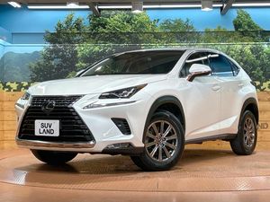 2017 Lexus NX DBA-AGZ10