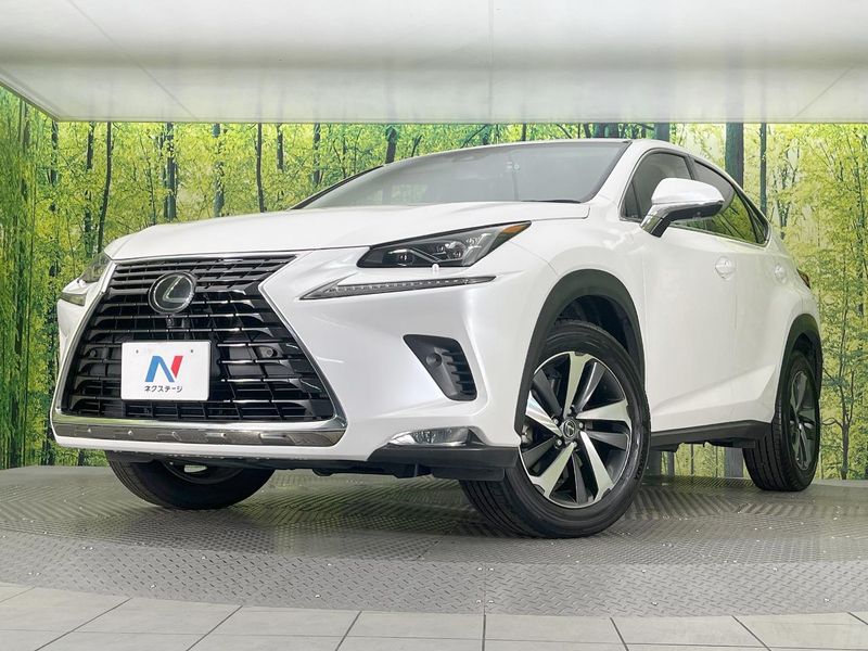 2018 Lexus NX DBA-AGZ10 (UW-6aa8b5db1a635)[0]