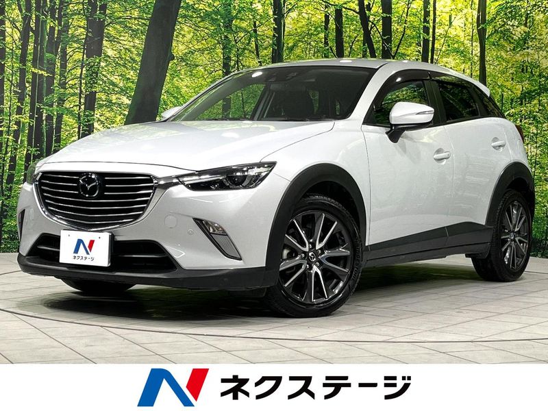 2016 Mazda CX-3 LDA-DK5AW (UW-6aa8b66f0ede1)[3]