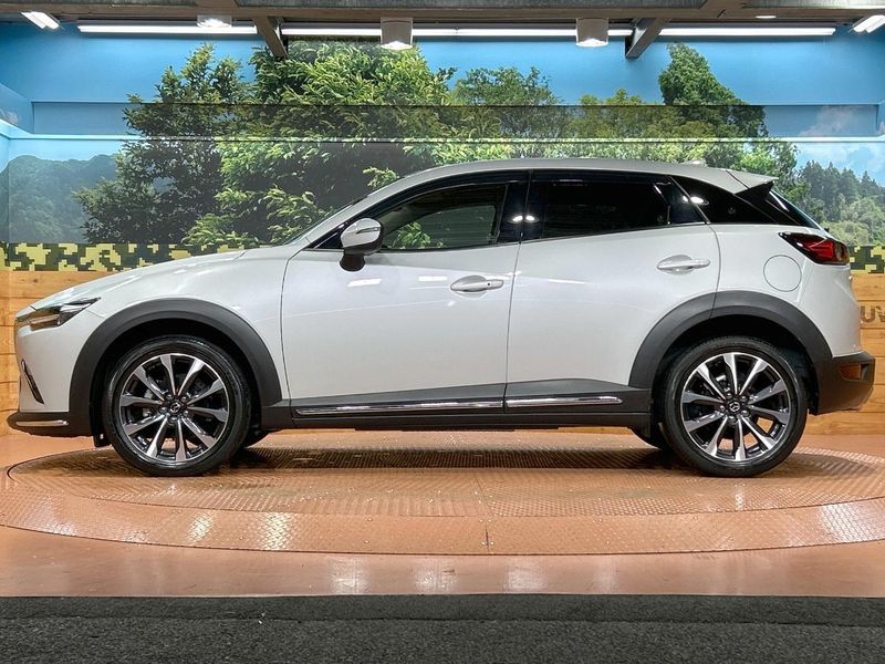 2021 Mazda CX-3 6BA-DKEFW (UW-6aa8b672b0503)[14]