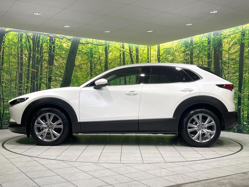 2023 Mazda CX-30 5AA-DMEJ3P (UW-6aa8b67498172)[21]