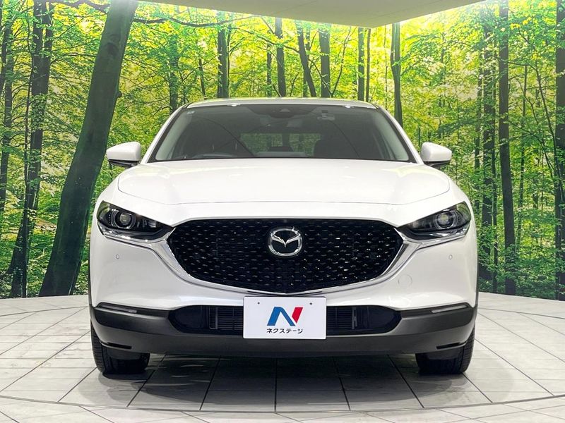 2023 Mazda CX-30 5AA-DMEJ3P (UW-6aa8b67498172)[15]