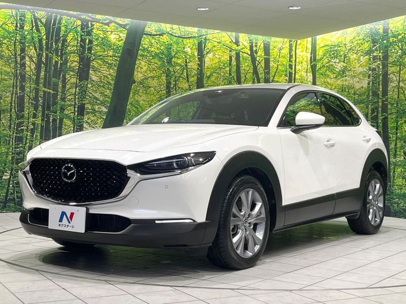 2023 Mazda CX-30 5AA-DMEJ3P (UW-6aa8b67498172)[14]