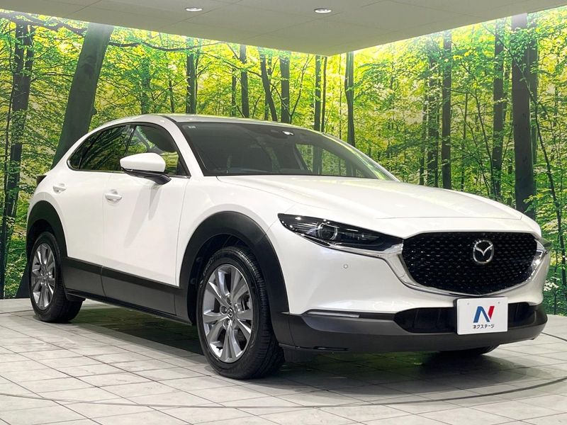 2023 Mazda CX-30 5AA-DMEJ3P (UW-6aa8b67498172)[16]