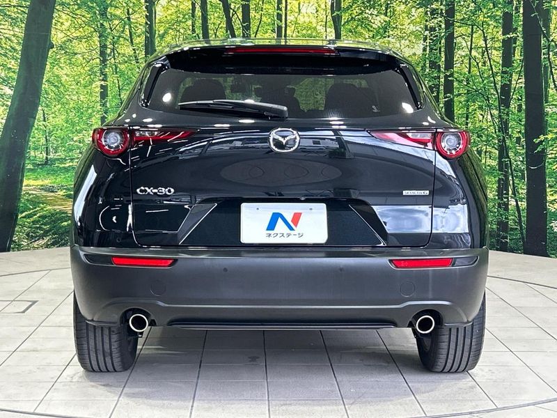 2021 Mazda CX-30 5BA-DMEP (UW-6aa8b67664cf7)[25]