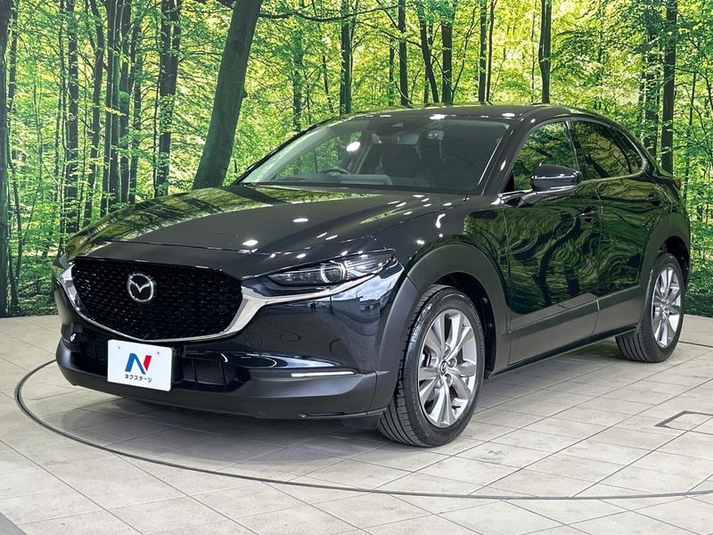 2021 Mazda CX-30 5BA-DMEP (UW-6aa8b67664cf7)[23]