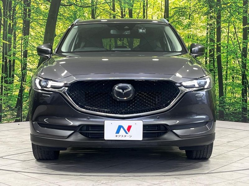 2018 Mazda CX-5 LDA-KF2P (UW-6aa8b78f8d2fd)[18]