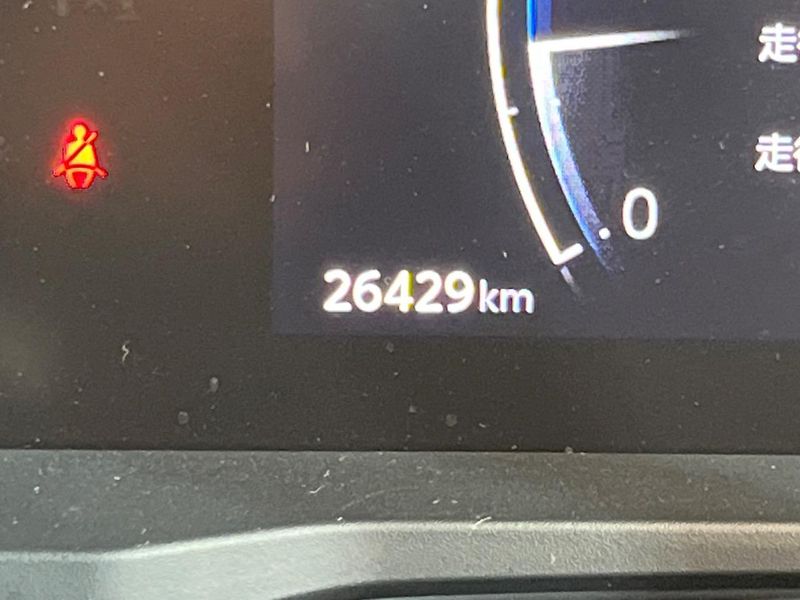 2024 Toyota Land Cruiser 250 3BA-TRJ250W (UW-6aa8b97d1f0e8)[2]