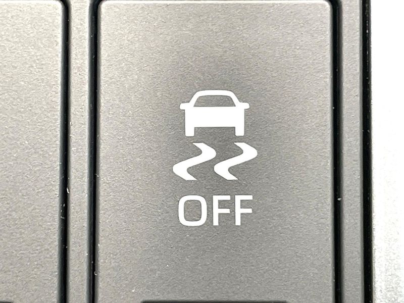 2025 Toyota Land Cruiser 250 3BA-TRJ250W (UW-6aa8b980229c7)[19]