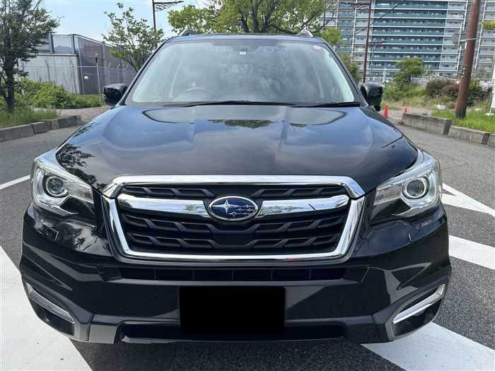 2015 Subaru Forester DBA-SJ5 (UW-mu3i3o1zipy1)[3]
