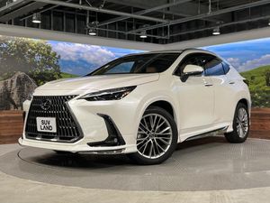 2024 Lexus NX 6AA-AAZH20