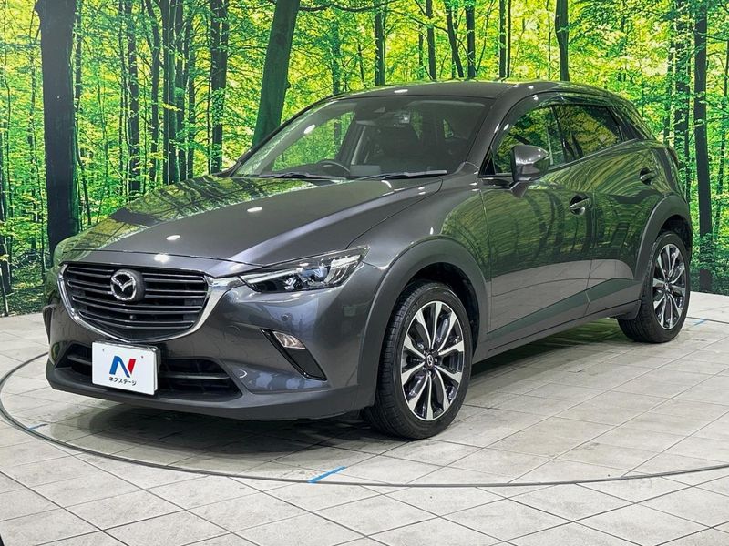 2019 Mazda CX-3 6BA-DKEFW (UW-6aaa0801bf26e)[11]