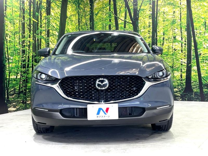 2019 Mazda CX-30 5BA-DMEP (UW-6aaa080445c22)[14]