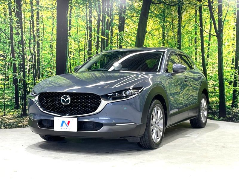 2019 Mazda CX-30 5BA-DMEP (UW-6aaa080445c22)[13]