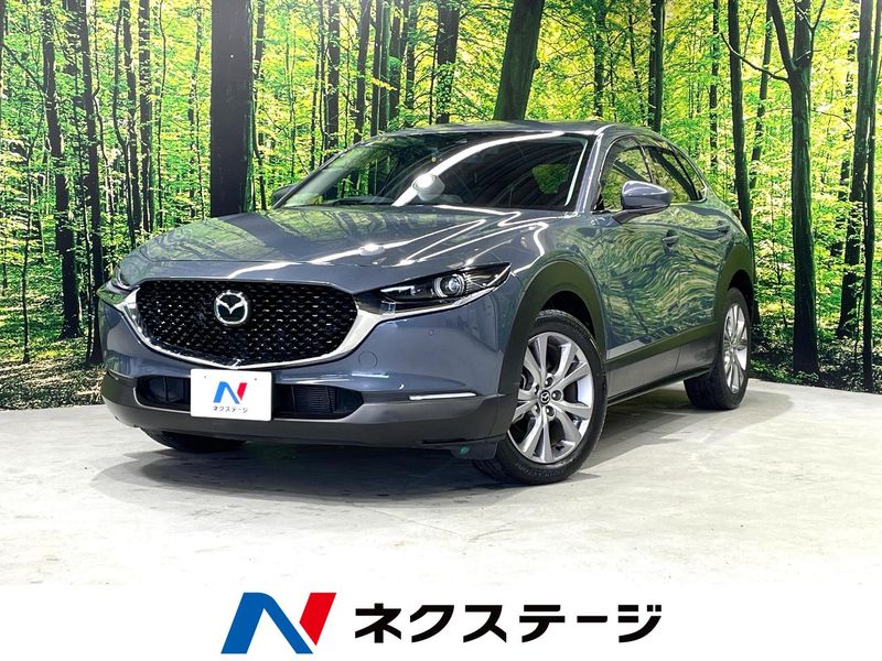 2019 Mazda CX-30 5BA-DMEP (UW-6aaa080445c22)[3]