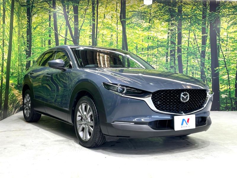 2019 Mazda CX-30 5BA-DMEP (UW-6aaa080445c22)[15]