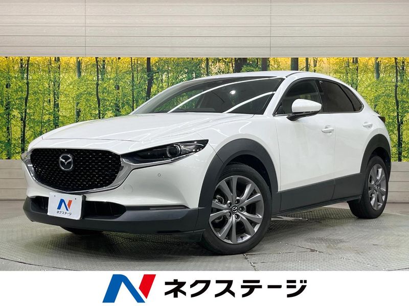 2020 Mazda CX-30 5BA-DMEP (UW-6aaa08068b325)[3]