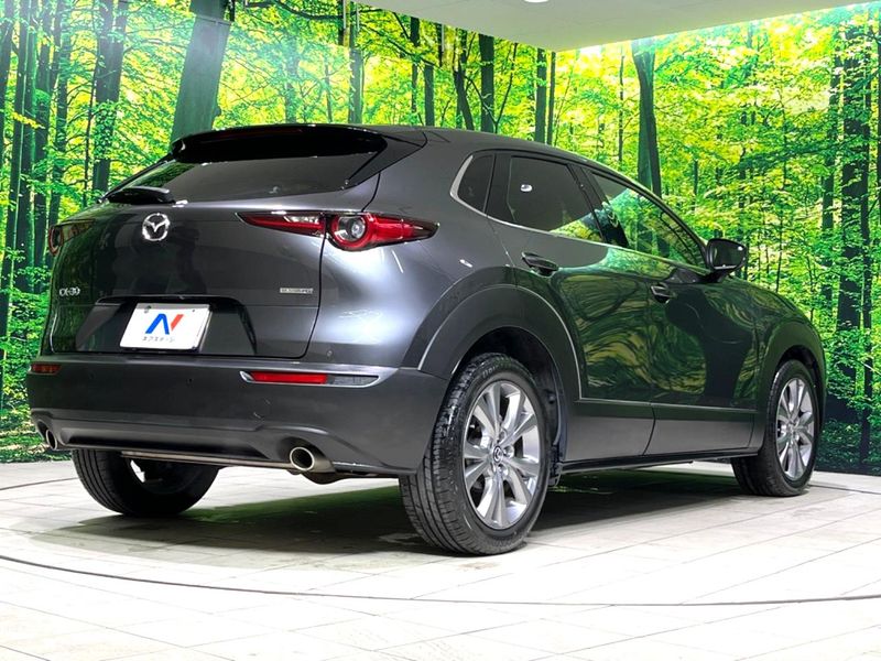 2021 Mazda CX-30 5BA-DMEP (UW-6aaa0807384d7)[9]