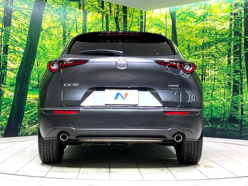 2021 Mazda CX-30 5BA-DMEP (UW-6aaa0807384d7)[8]