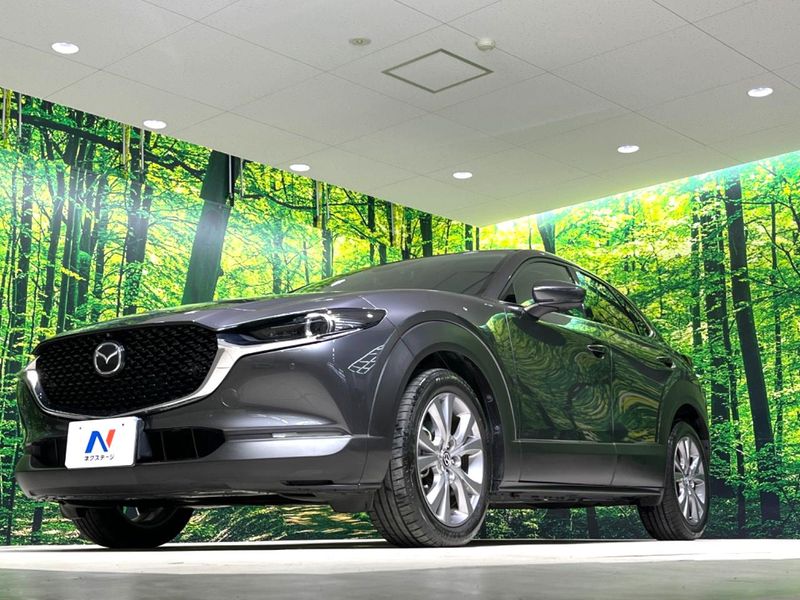 2021 Mazda CX-30 5BA-DMEP (UW-6aaa0807384d7)[13]