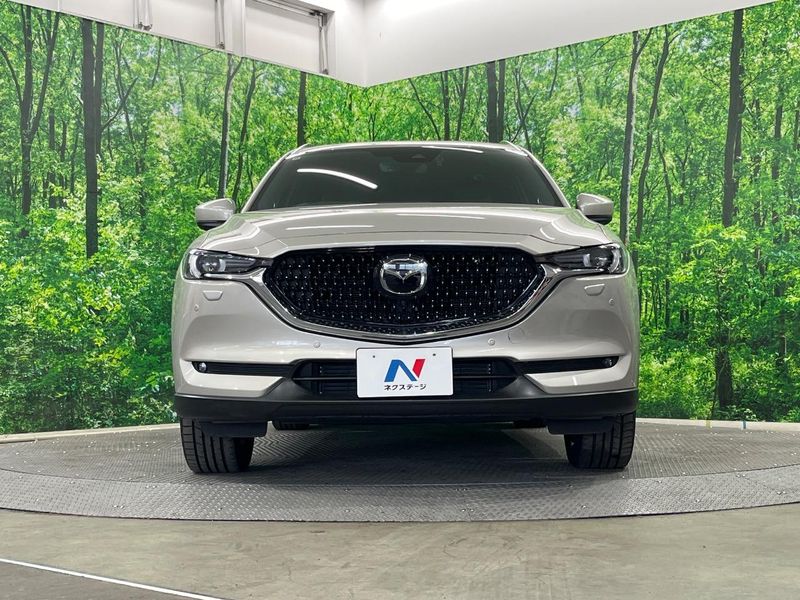 2022 Mazda CX-8 3da-kg2p (UW-6aaa093bcfc86)[22]