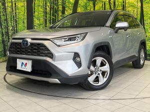 2019 Toyota RAV4 6AA-AXAH54