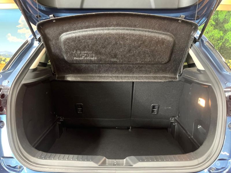 2020 Mazda CX-3 3DA-DK8FW (UW-6aacaae608492)[13]