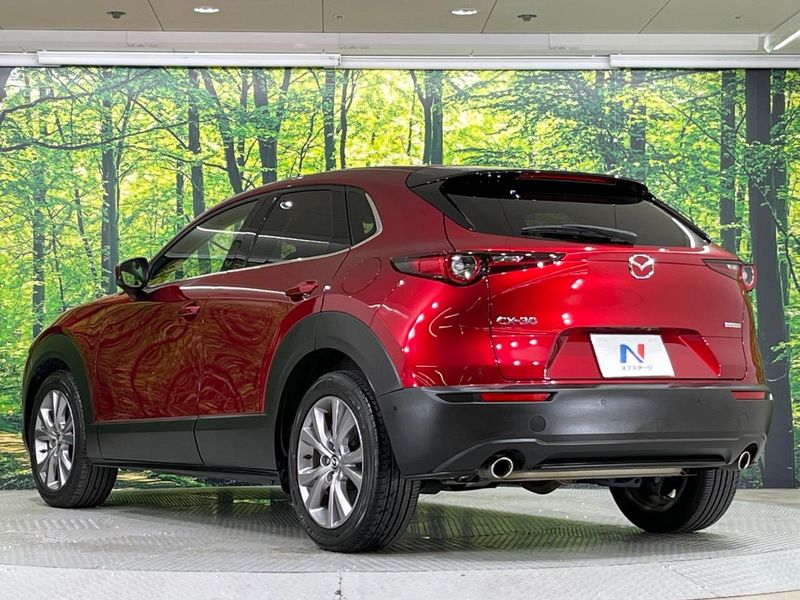2019 Mazda CX-30 3DA-DM8P (UW-6aacaae704237)[14]
