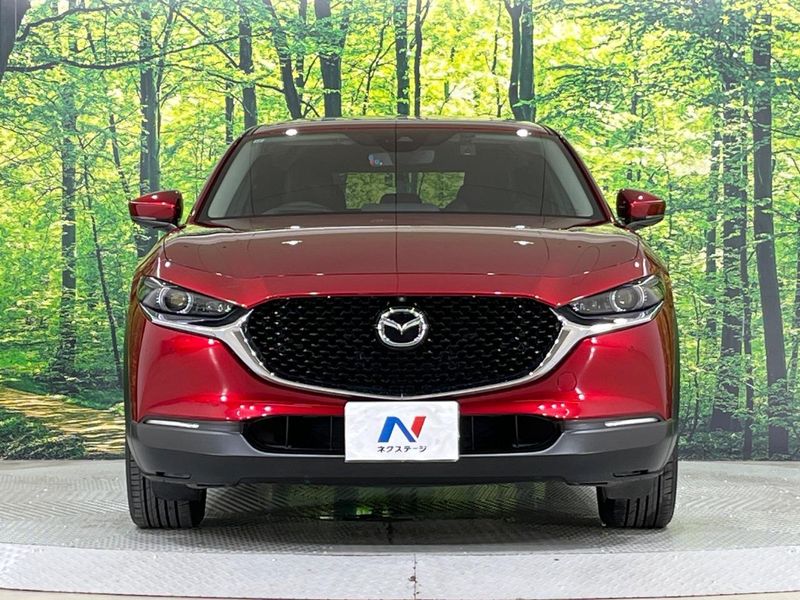 2019 Mazda CX-30 3DA-DM8P (UW-6aacaae704237)[19]