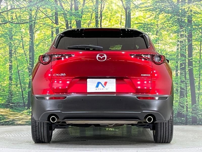 2019 Mazda CX-30 3DA-DM8P (UW-6aacaae704237)[15]