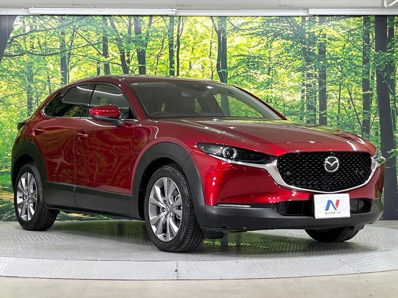 2019 Mazda CX-30 3DA-DM8P (UW-6aacaae704237)[18]