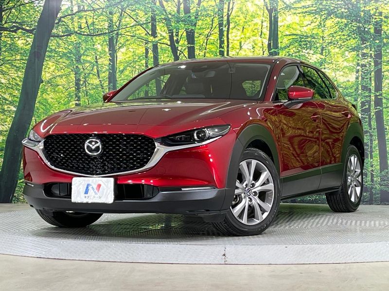 2019 Mazda CX-30 3DA-DM8P (UW-6aacaae704237)[0]