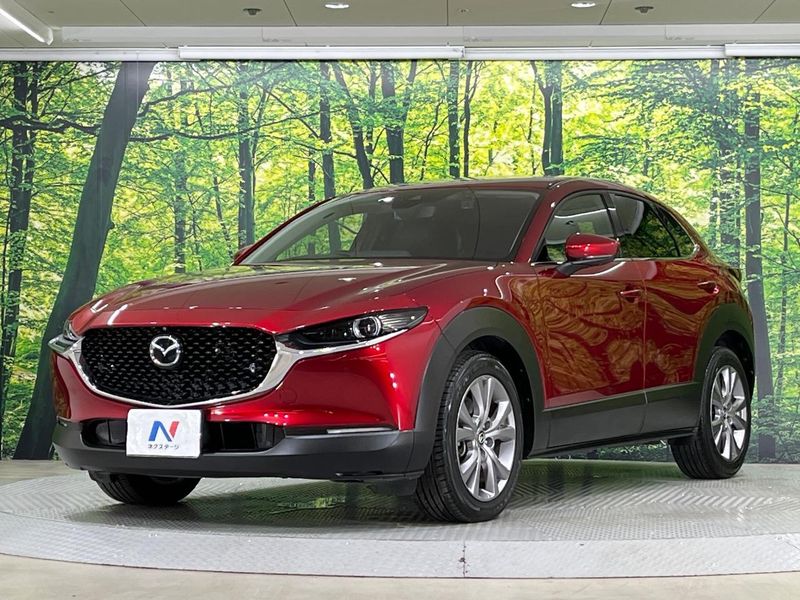 2019 Mazda CX-30 3DA-DM8P (UW-6aacaae704237)[12]