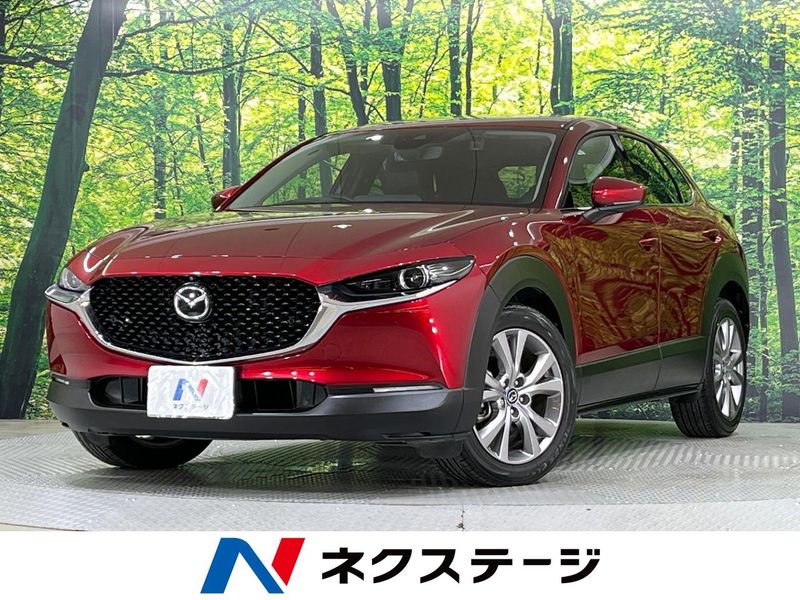 2019 Mazda CX-30 3DA-DM8P (UW-6aacaae704237)[3]