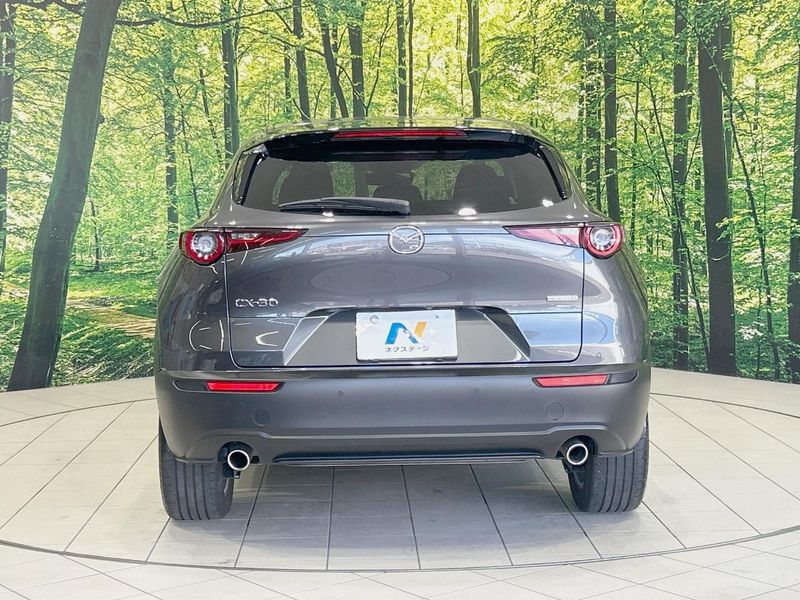 2019 Mazda CX-30 3DA-DM8P (UW-6aacaae77a113)[11]
