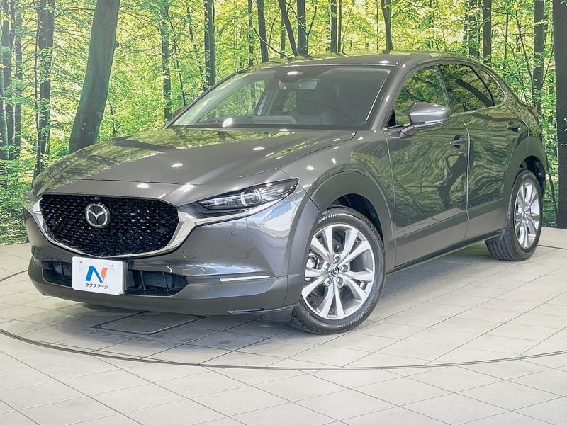 2019 Mazda CX-30 3DA-DM8P (UW-6aacaae77a113)[0]