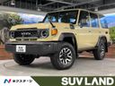 2025 Toyota Land Cruiser 70 3DA-GDJ76W (UW-6aacab1d7f64a)[3]