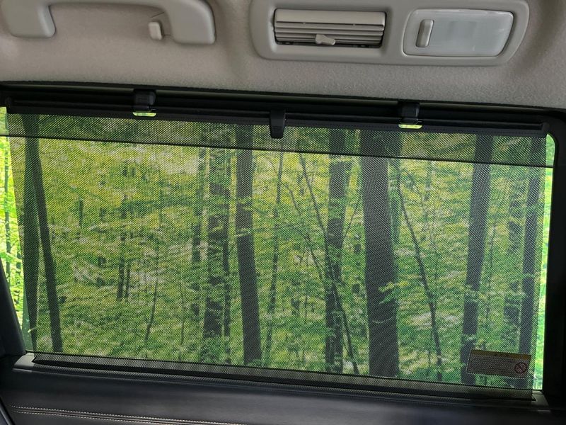 2018 Nissan Elgrand DBA-TNE52 (UW-6aacade877917)[8]