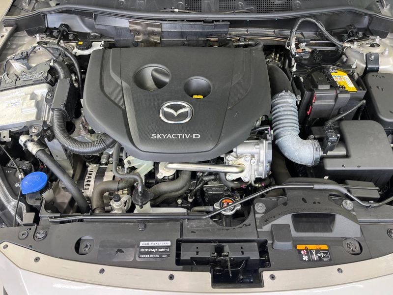 2025 Mazda Mazda2 3da-dj5fs (UW-6aadfc6e51d57)[8]