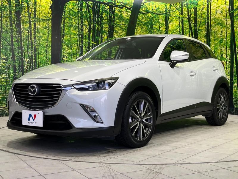 2016 Mazda CX-3 LDA-DK5AW (UW-6aadfc7032da1)[20]