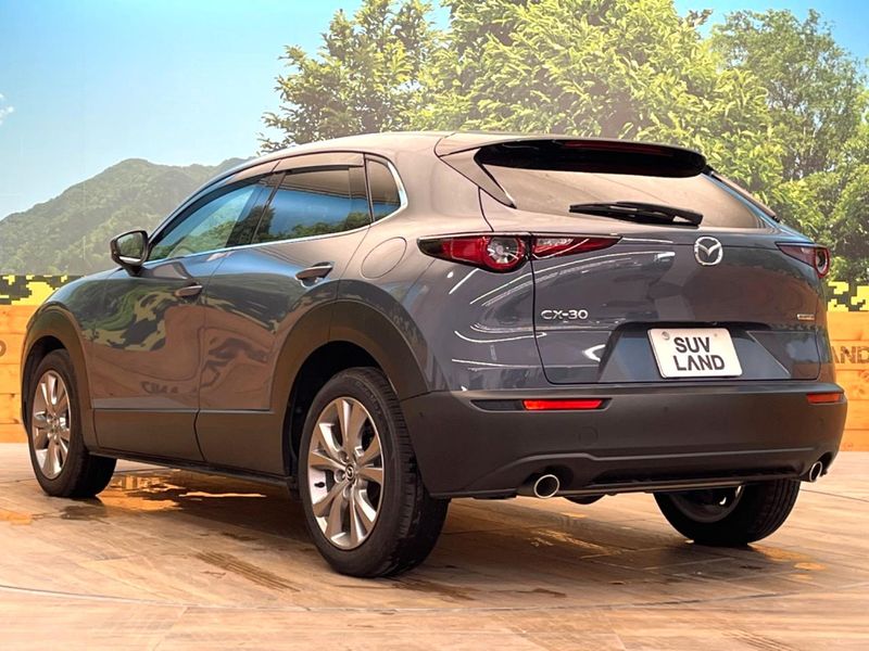 2020 Mazda CX-30 5BA-DMEP (UW-6aadfc765b4bb)[6]