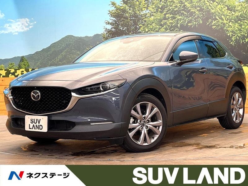 2020 Mazda CX-30 5BA-DMEP (UW-6aadfc765b4bb)[3]