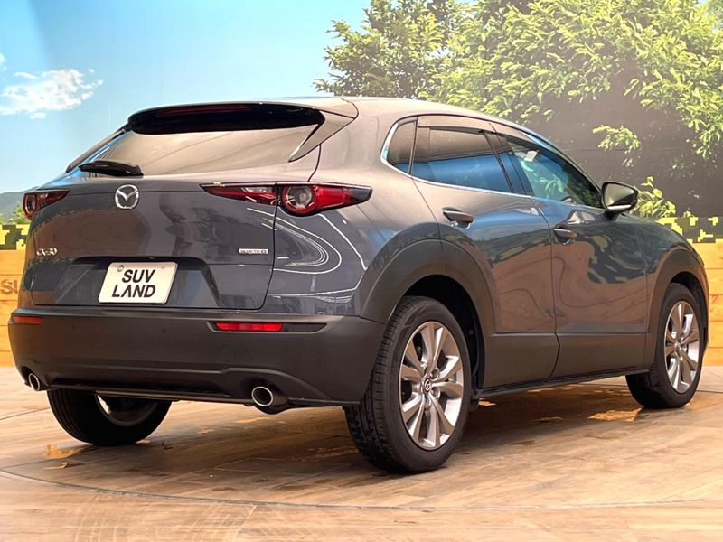 2020 Mazda CX-30 5BA-DMEP (UW-6aadfc765b4bb)[5]