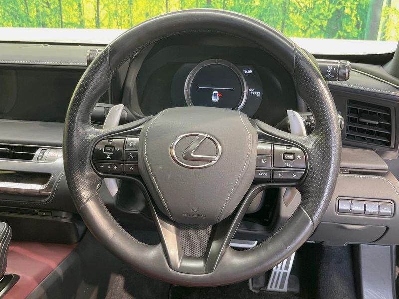 2017 Lexus LC DAA-GWZ100 (UW-6aadfceccbedb)[24]